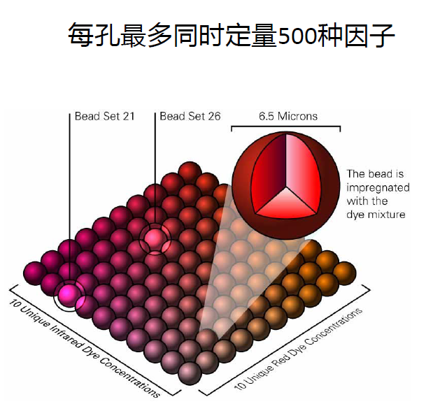 細(xì)胞因子風(fēng)暴檢測(cè)——助力新冠狀病毒治療